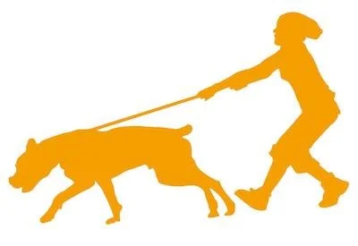 Dog pulls on leash while walking hotsell